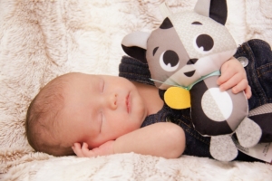 newborn laying on his side with a stuffed fox